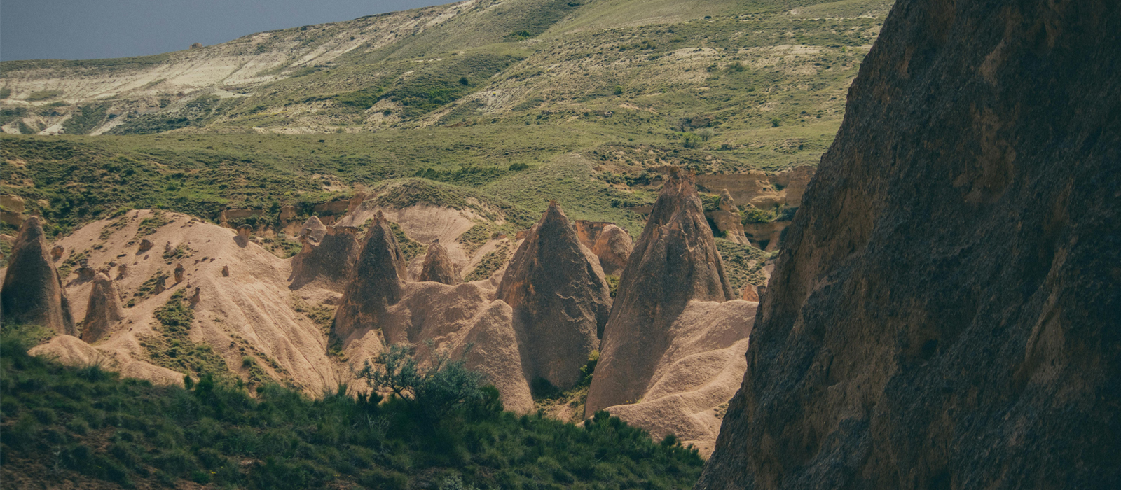 以植萃发酵科技应对光老化